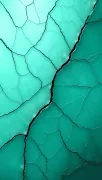backgrounds