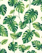 backgrounds
