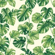 backgrounds
