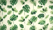 backgrounds