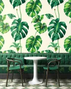 backgrounds