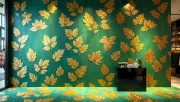 backgrounds
