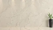 backgrounds