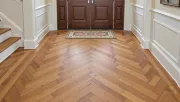 backgrounds