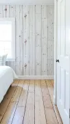 backgrounds