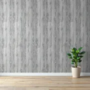 backgrounds