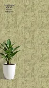 backgrounds