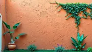 backgrounds