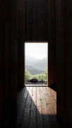 backgrounds