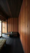 backgrounds