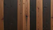 backgrounds