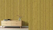 backgrounds