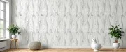 backgrounds