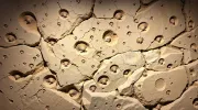 backgrounds