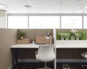 backgrounds