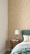 backgrounds