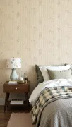 backgrounds