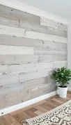 backgrounds