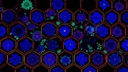 backgrounds
