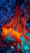 backgrounds