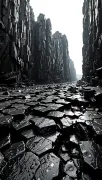 backgrounds