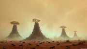 backgrounds