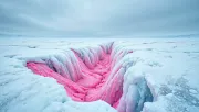 backgrounds