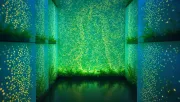 backgrounds