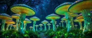 backgrounds