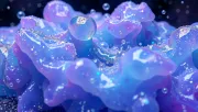 backgrounds