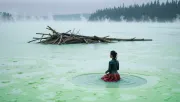 backgrounds