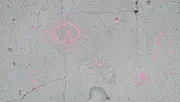 backgrounds