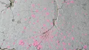 backgrounds