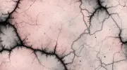 backgrounds