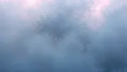 backgrounds