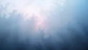backgrounds
