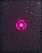 backgrounds