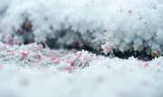 backgrounds