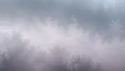 backgrounds