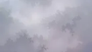 backgrounds