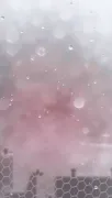backgrounds
