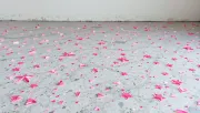backgrounds