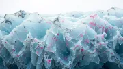 backgrounds