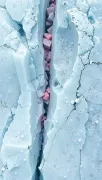 backgrounds