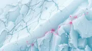 backgrounds