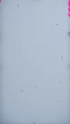 backgrounds
