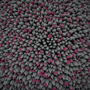 backgrounds