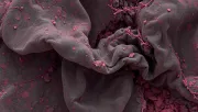 backgrounds