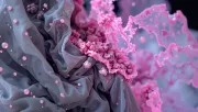 backgrounds