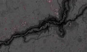 backgrounds